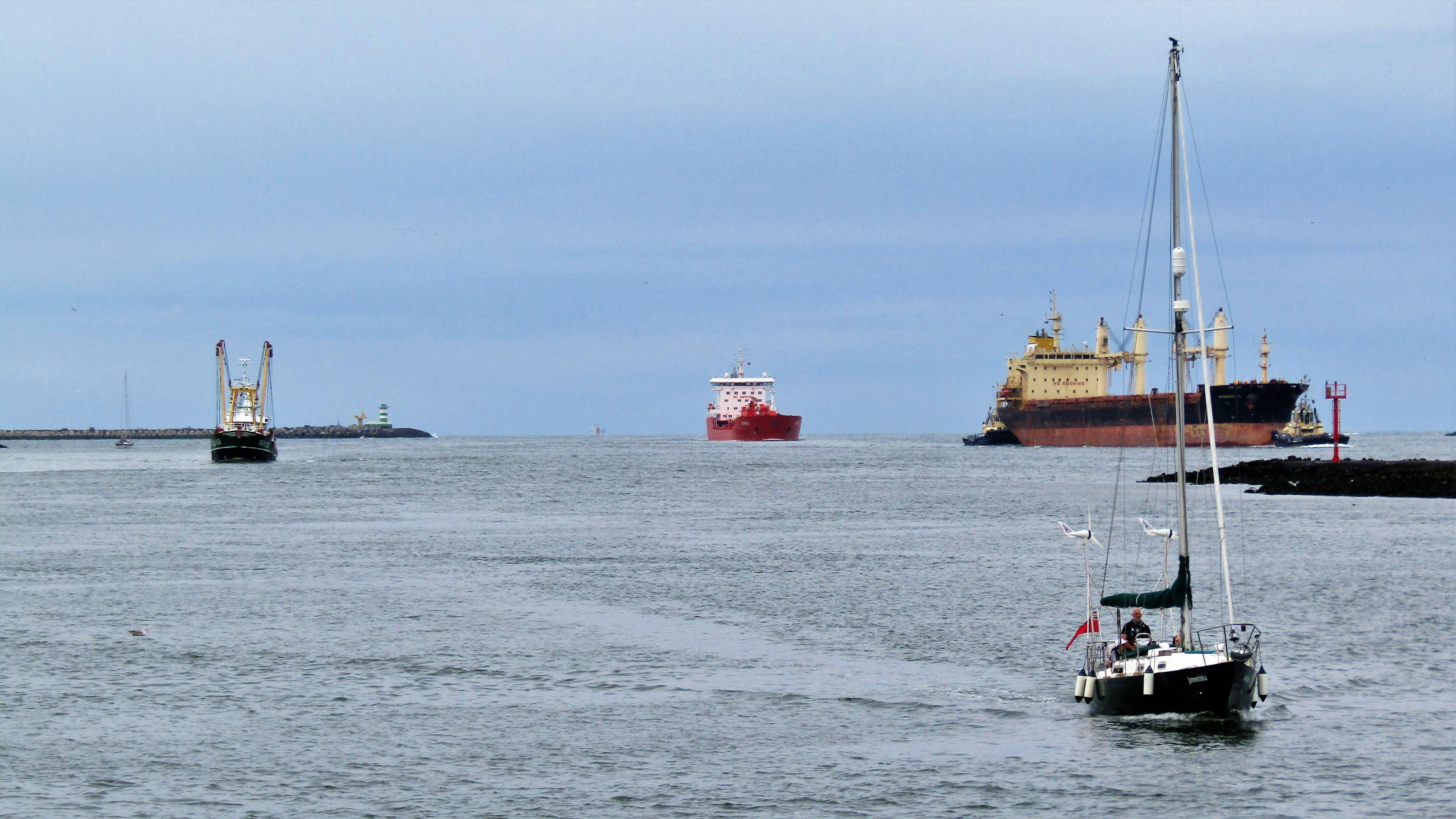 Pieren IJmuiden   14-07-22 